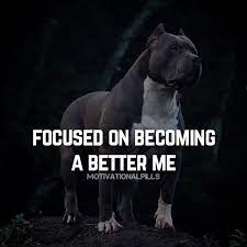 Focused On Becoming A Better Me Inspirational Quotes Motivation Motivation Inspirational Quotes
