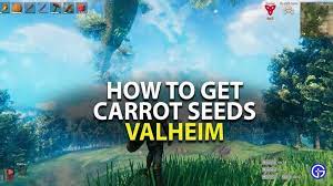 How To Get Carrot Seeds In Valheim In 2021 Carrot Seeds Carrots Seeds