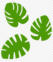 Big Image Swiss Cheese Plant Free Transparent Png Clipart Images Download Swiss cheese plant illustration, plant tree, monstera, food drinks, plant, tree png. big image swiss cheese plant free