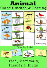 Animal classification for kids worksheets november 25 2019 under the word problems worksheets pdf biome quiz worksheet answers math worksheet site nbsp. Animal Classification And Sorting Activity Totschooling Toddler Preschool Kindergarten Educational Printables