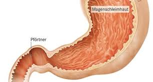 Duodenum inflammatiion or cancer intestines diseases related more articles: Magen Zwollffingerdarmgeschwur Apotheken Umschau