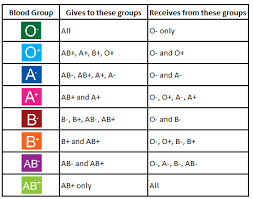 Blood Type Donor Chart Jasonkellyphoto Co