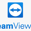 How to install teamviewer on a custom host? 1