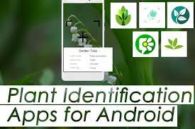Pl@ntnet is an application that allows you to identify plants simply by photographing them with your smartphone. Leaf Id App Android
