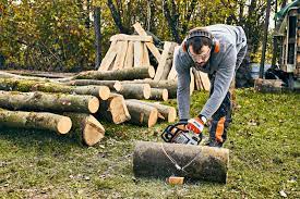 Es ist ein leichtes, eulen aus papier zu basteln. Eule Mit Einer Kettensage Schnitzen Anleitung Stihl