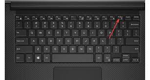 Hold the windows key and press printscreen or prtscr. How To Screenshot On Dell Laptop
