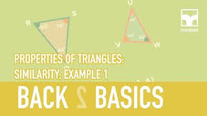 In this tutorial you will. Grade 12 Euclidean Geometry Back To Basics Properties Of Triangles Similarity Example 1 Cute766
