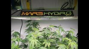 Mars 600 watt led grow light. Mars Hydro Ts 600 Led Grow Light Unboxing Youtube