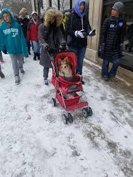 Armed with boyish charm and a sharp wit, the former snl writer john mulaney offers sly takes on marriage, his beef with babies and the time he met bill clinton. Anyway This Is A Long Winded Way Of Saying We Got A Stroller For Our Dog Unexpectedmulaney