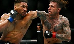 85% 149 голова 7% 13 корпус 8% 14 ноги. Ufc 244 Kevin Lee Returns To Lightweight Against Gregor Gillespie