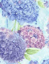 Hydrangeas Flowers Flowers Fabric Cotton Timeless Treasures Hydrangea Print Hydrangea