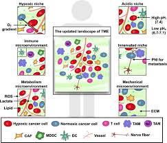 Although screenings for prostate cancer are one tool for early detecti. The Updated Landscape Of Tumor Microenvironment And Drug Repurposing Signal Transduction And Targeted Therapy