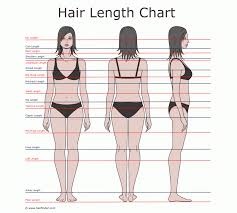 Here, learn how your hair type affects your length. Hair Length Chart I M Shoulder Length Planning To Grow It Out To Bra Strap Length Hair Length Chart Hair Length Guide Hair Growth Charts