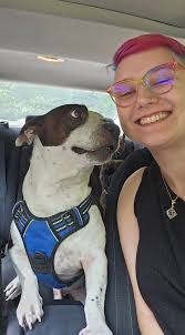 Yep. He's done. Big day at the dog park!