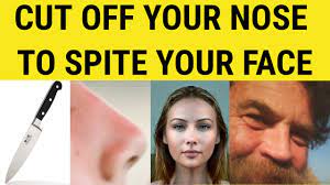 The idiom to cut off your nose to spite your face means you shouldn't do something out of spite or revenge that will end up causing more harm to you than to the person with which you are angry. Cut Off Your Nose To Spite Your Face English Sayings Ielts Cae Cpe Esl British English Youtube