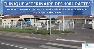 Clinique vétérinaire des mille et une pattes