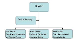 Bright Personnel Organization Chart 2019