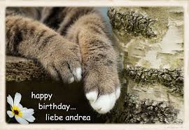 Geburtstagsgrusse Fur Andrea Foto Bild Gratulation Und Feiertage Geburtstag Karten Bilder Auf Fotocommunity