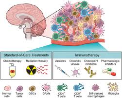 Check spelling or type a new query. Current Knowledge On The Immune Microenvironment And Emerging Immunotherapies In Diffuse Midline Glioma Sciencedirect