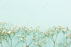 Maybe you would like to learn more about one of these? Spring Background Made With Flowers On Aqua Or Mint Green Background Flat Lay Top View Copy Space For Your Text Stock Photo Picture And Royalty Free Image Image 114676184