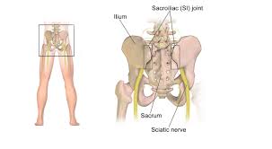 Millions of americans have back pain, but don't know about the little muscle that can cause it. What To Do When Your Sciatica Pain Is Out Of Control