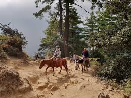 Maybe you would like to learn more about one of these? Meditativer Trekk Zu Bhutans Tigernest Bruder Auf Achse