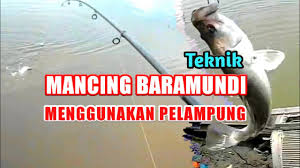 #kakapputih #teknikmancingkakap #spotmancingkakapspot mancing kakap putih kali ini berada tambak daerah teluk indramayu, masih menggunakan umpan udang hidup,. Cara Mancing Kakap Putih Menggunakan Pelampung Youtube