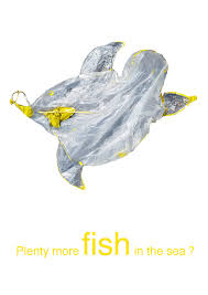 Hazel Terry Art and Illustration