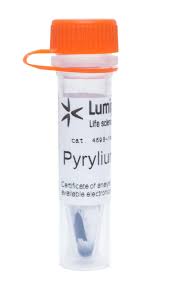 Image result for Pycreus sp.no.1