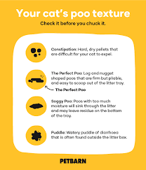 Cat Poo Chart Runny Poo Hard Poo Whats Normal Petbarn