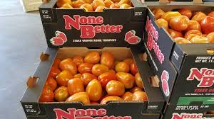 farm bureau wants more mexican tomato