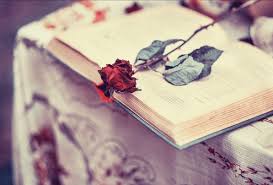 As melhores frases românticas de livros onde o amor ganha vida em palavras.