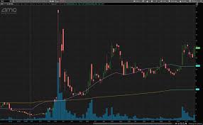 After percolating for days, gamestop and amc finally break out on big day for meme stocks. Xqg3wppecdubem