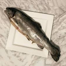 I skipped lunch and ate a fish taco at your mom's house. Homemade Trout Jerky Dog Treat Recipe Kol S Notes