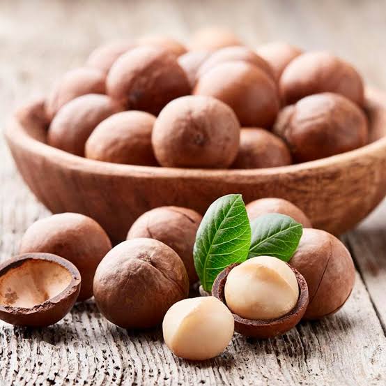 Macadamia Nuts In Shell Bulk Wholesale