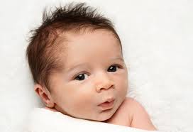 It is derived from the latin word 'lana which means wool. Reasons For Hair Loss In Newborn Babies Endhairloss Eu