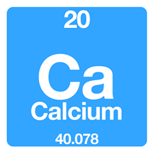 Image result for Calcium