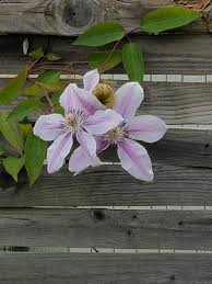 Verwundert steigt er die treppe hinab und entdeckt. Iwona S Julian S Und Thomas Garten Home Facebook