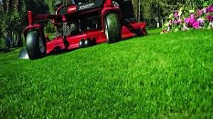 Hired 37 times on greenpal. Lawn Care Service Fertilization San Antonio Tree Service