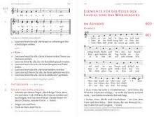 Die ausgabe enthält 175 vorspiele plus zu. Informationen Und Materialien Neues Gotteslob Fur Das Bistum Augsburg Bistum Augsburg