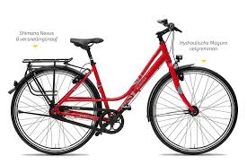 Mastbergen Gudereit Sx C Fietsen