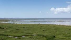 Bay View Holiday Park — Lakeland DA