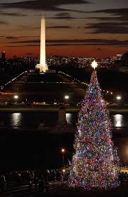 While for some, the holiday can't come soon enough, for others who have procrastinated a tad on the decorating, it can be a bit stressful. Visit The Capitol Christmas Tree This Holiday Season Christmas In Dc Washington Dc Christmas Christmas Tree Pictures
