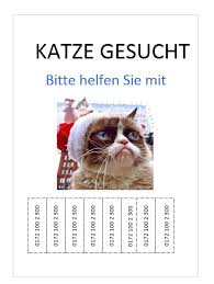 Suchplakat erstellen katze / verschwundene und gefundene the common characterises of sachplakat are bold lettering with flat colours, simplified shapes. Abreisszettel In Word Erstellen So Geht S Chip