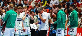 handball bundesliga
