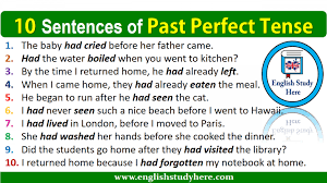10 Sentences Of Past Perfect Tense Perfect Tense 10 Sentences English Phrases