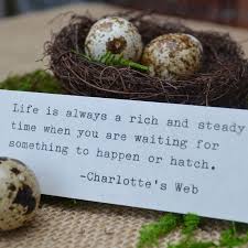 Charlotte's web is a book of children's literature by american author e. Pin By Darrel Astle On Baby Maybe Charlottes Web Quotes Picture Quotes Web Quotes
