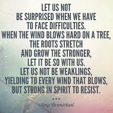 Pin By Jo Anne Lesaint On Amy Carmichael And Elisabeth Elliot Resilience Quotes Amy Carmichael Quotes Most Powerful Quotes
