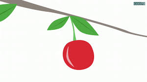 Le Developpement Des Vegetaux De La Fleur Au Fruit Du Fruit A La Graine Les Animations Des Fondamentaux Reseau Canope