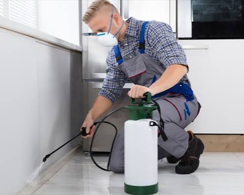 Commercial Extermination